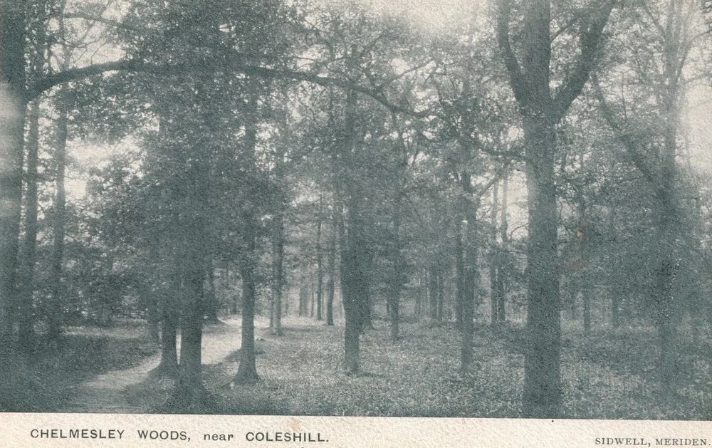 Chemsley Wood