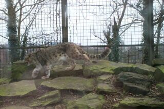 Dudley Zoo