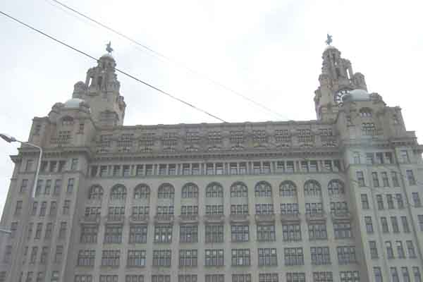 Liver Building