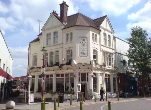 The Old Fox