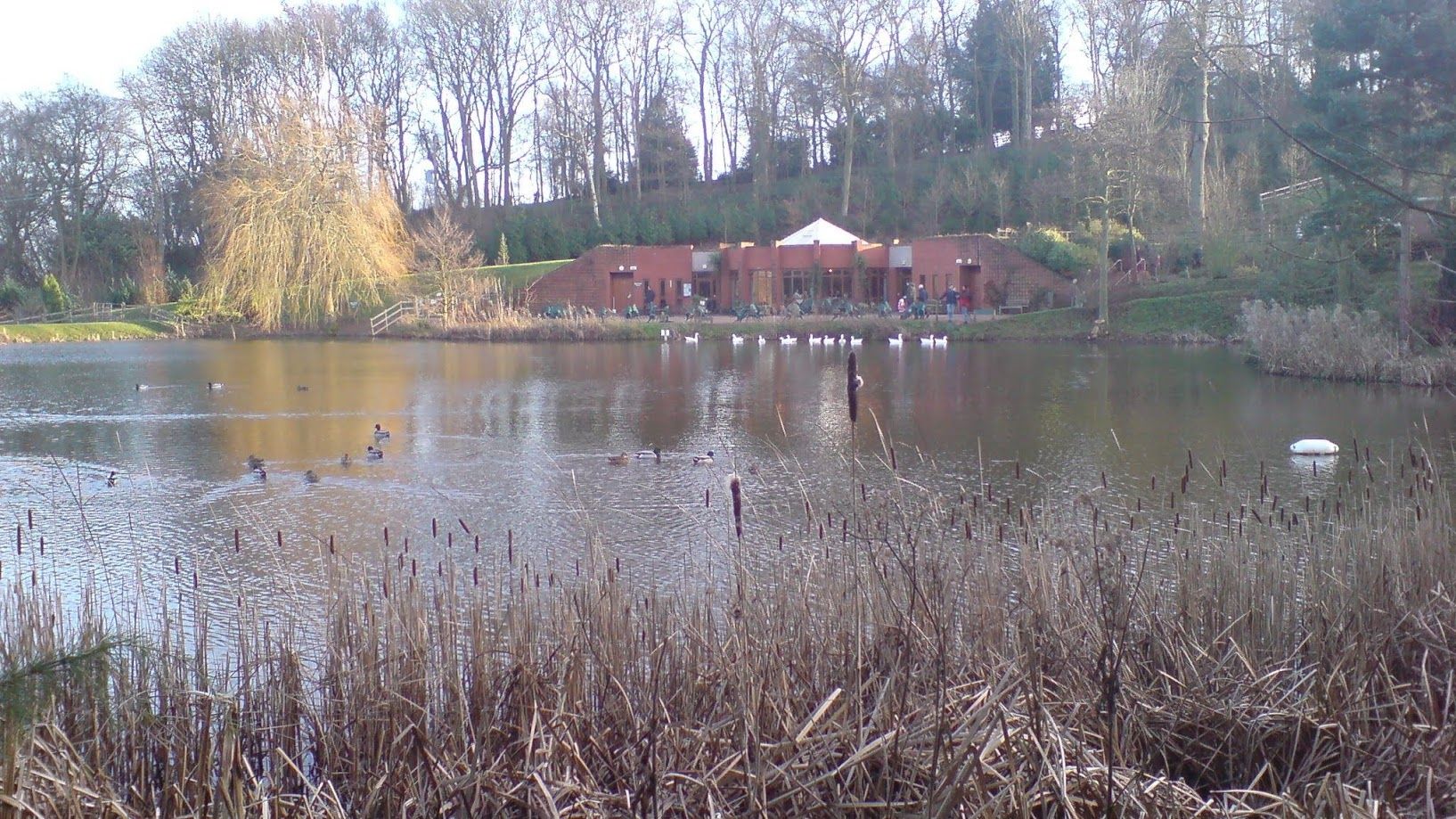 Bodenham Arboretum