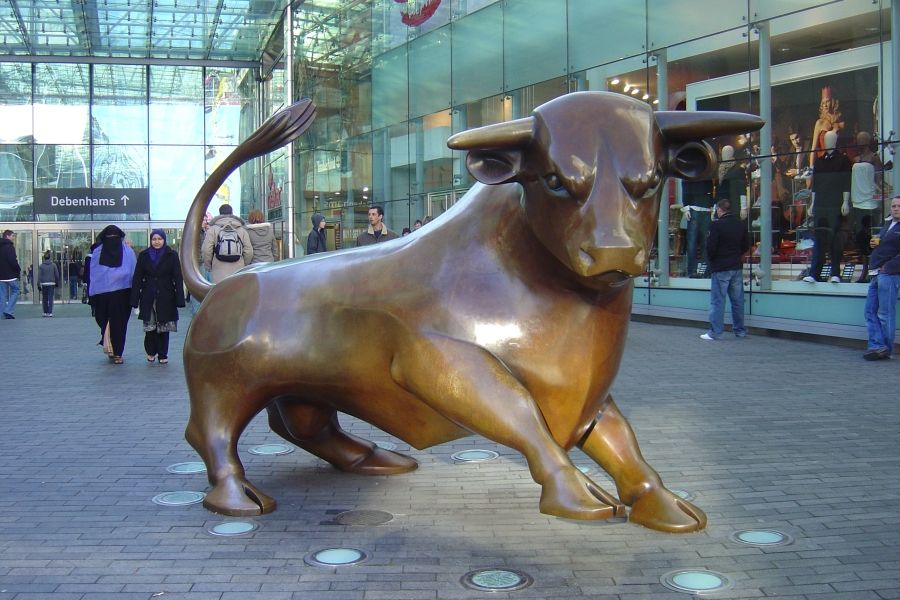 Birmingham Bull