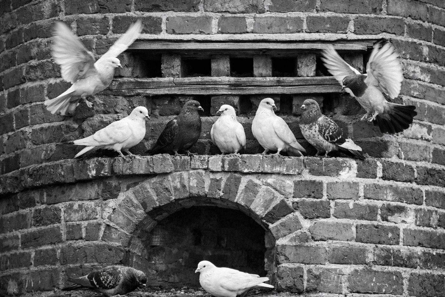 Moseley Dovecote